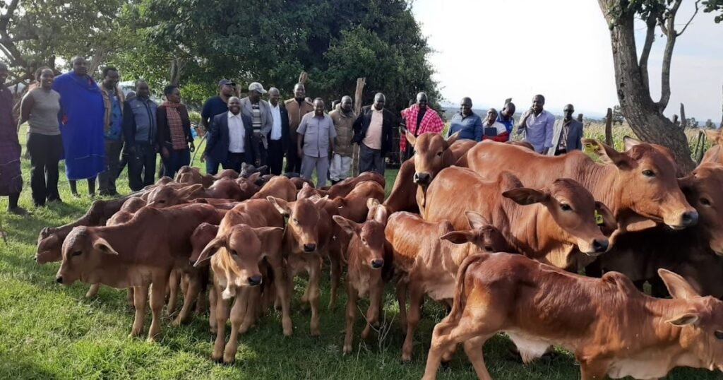 Bei Mpya ya ng’ombe wa Kienyeji Mnadani