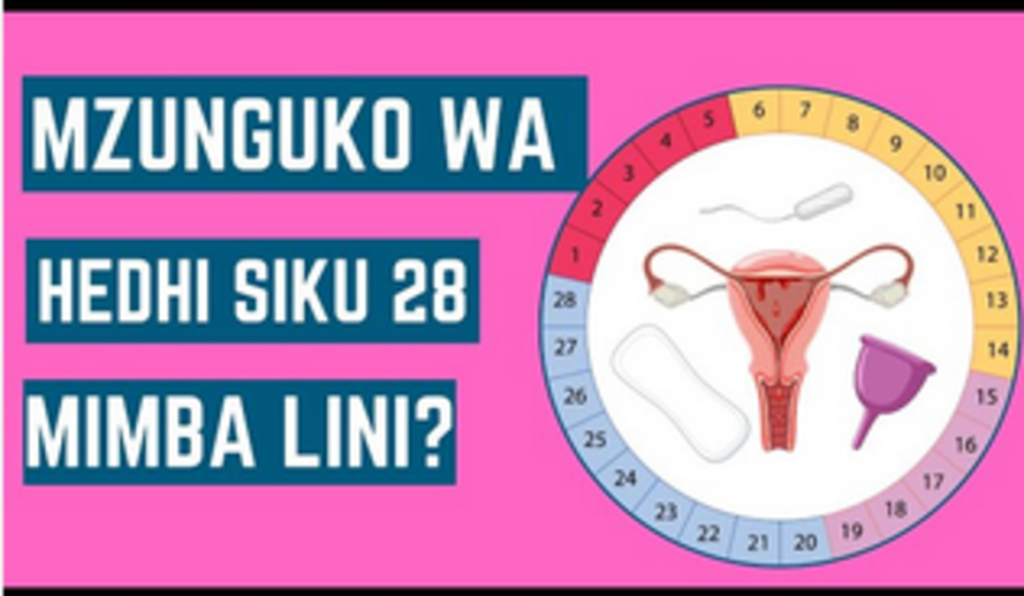Siku za hatari za kushika mimba kwa mzunguko wa hedhi wa siku 28