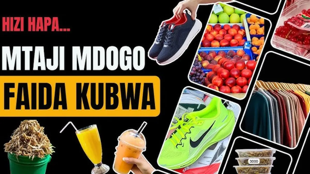 Biashara Ndogo Ndogo Za Mtaji Mdogo Zenye Faida Kubwa Biashara Ndogo Ndogo Za Mtaji Mdogo Zenye Faida Kubwa