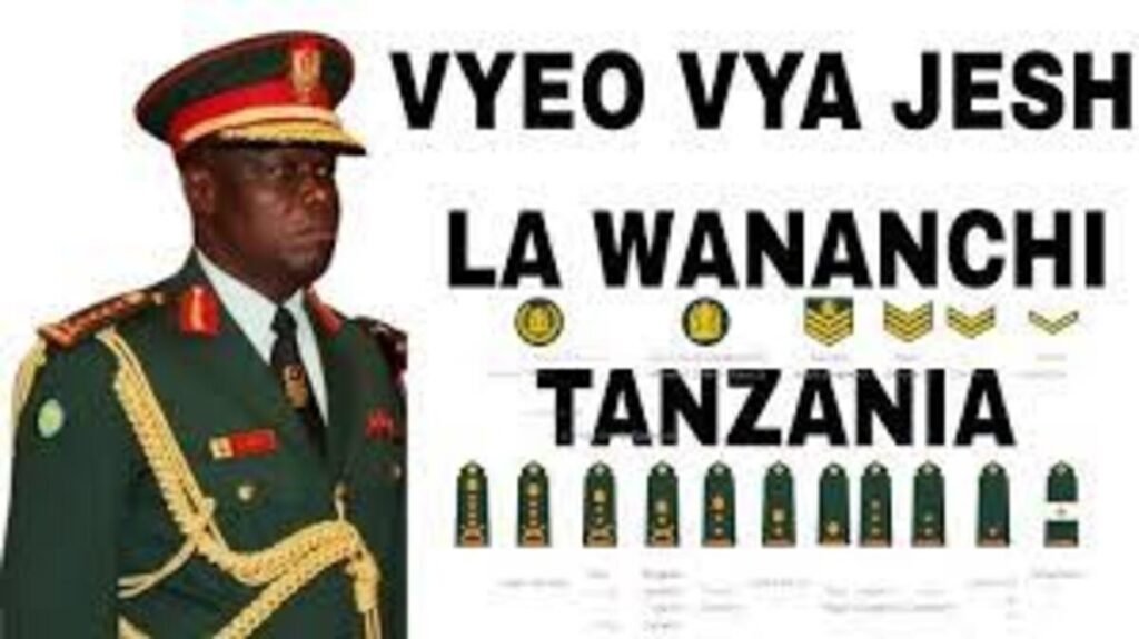 Vifahamu Vyeo na Mishahara ya JWTZ (Jeshi la wananchi Tanzania)