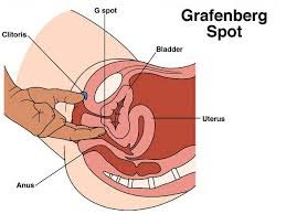 JINSI YA KUSUGUA G-SPOT YA MWANAMKE, HADI ALIE KAMA MTOTO MDOGO 