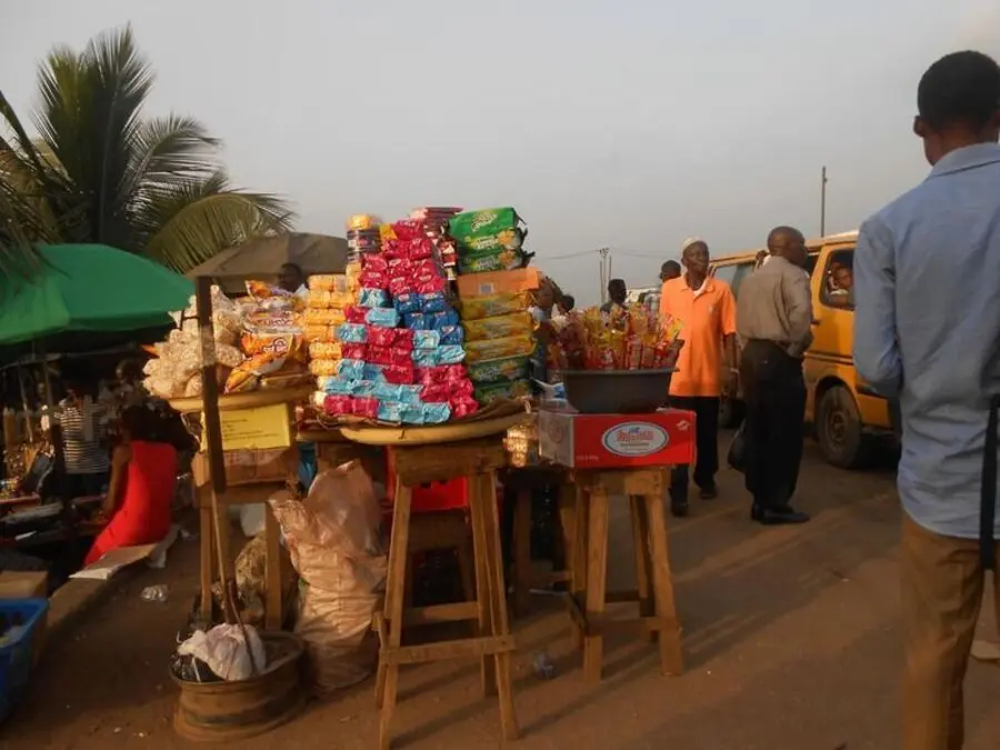 Biashara Bora zinazolipa zaidi Tanzania Biashara Bora zinazolipa zaidi Tanzania