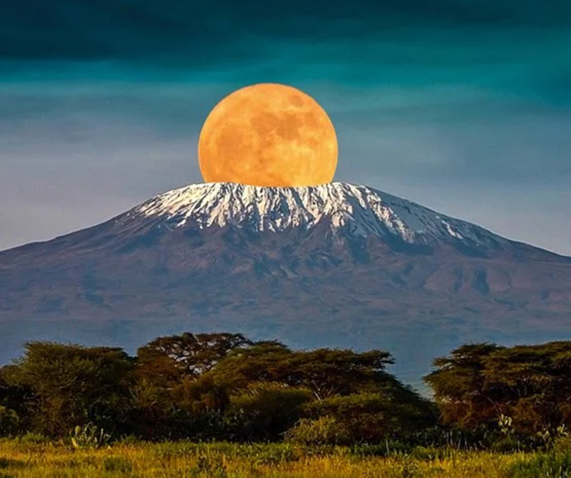 Mlima kilimanjaro una km ngapi wikipedia