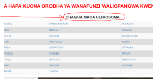 Jinsi ya Kuangalia Majina ya Wanafunzi Waliochaguliwa Form Five 2025