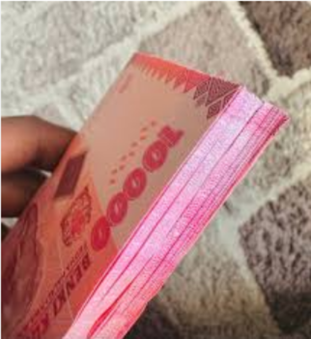 Biashara yenye faida Elfu kumi 10000 kwa Siku