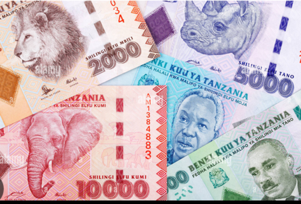 Biashara ya mtaji wa Elfu thelasini 30000