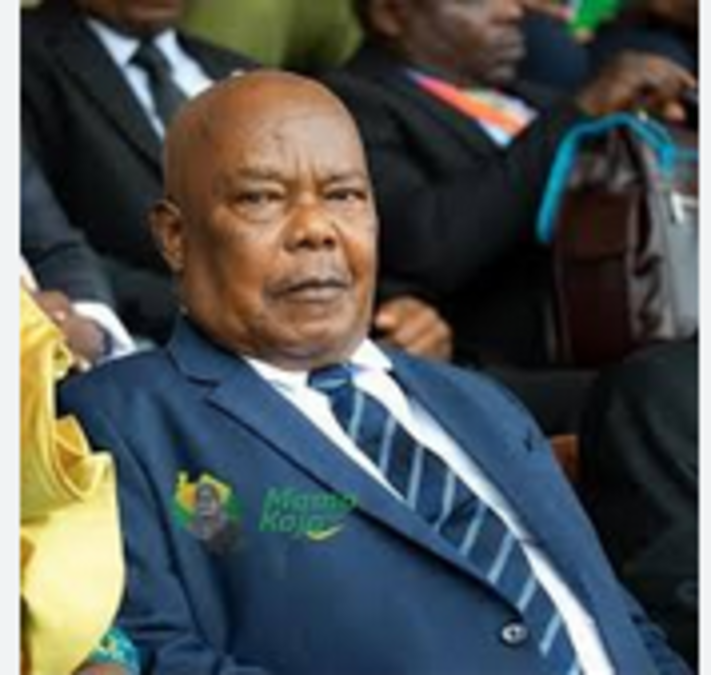 Kazi ya mume wa samia suluhu