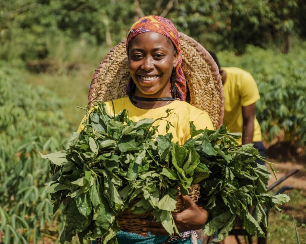 Mikoa inayolima Tumbaku Tanzania