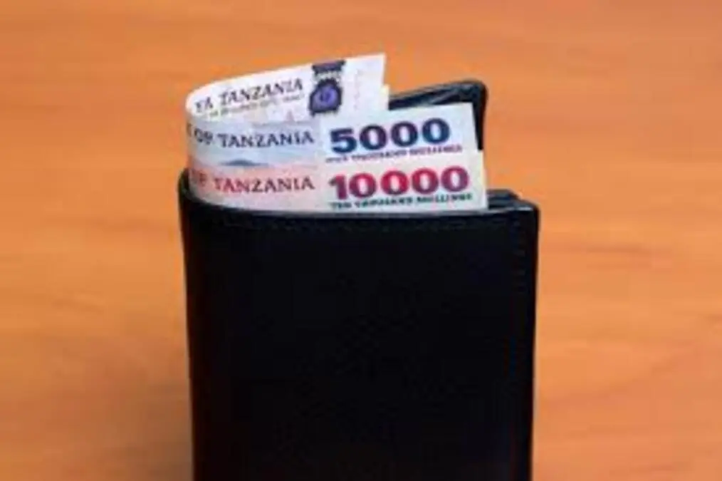 Biashara 10 Bora Tanzania
