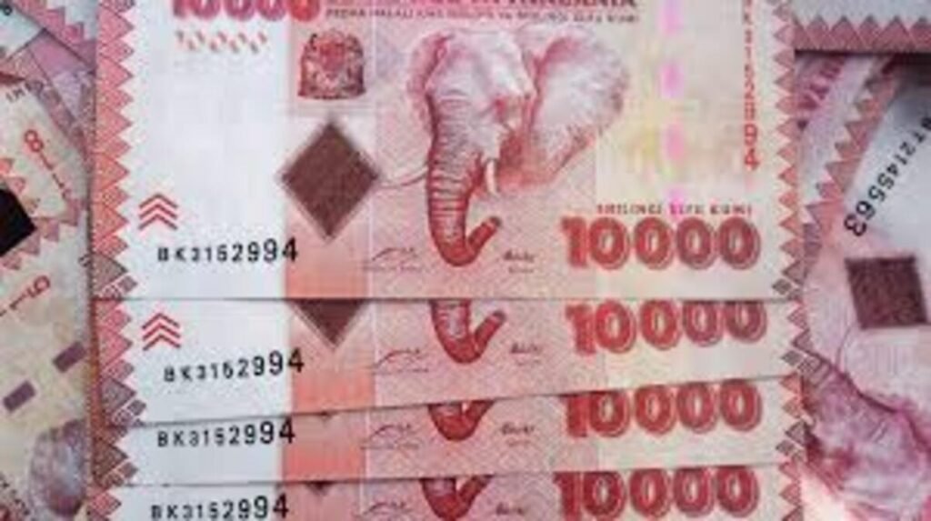 Biashara ya Mtaji Wa Elfu Hamsini 50,000
