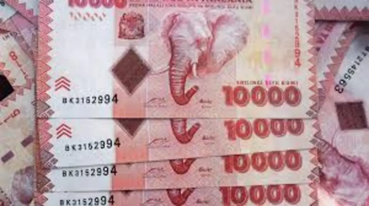 Biashara ya Mtaji Wa Elfu Hamsini 50,000