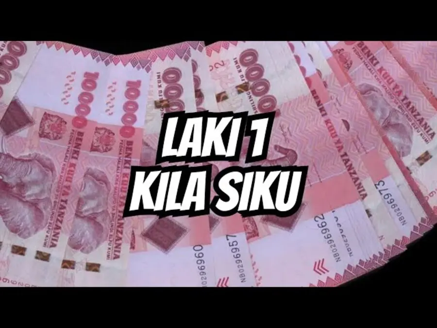 Biashara yenye Faida Laki Moja 100000 kwa Siku