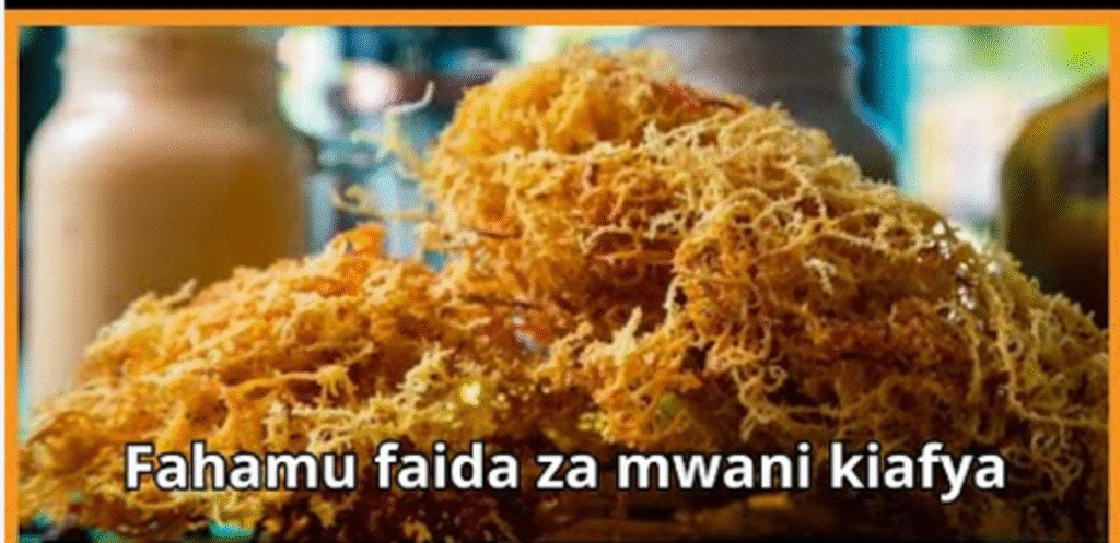 Faida za mwani kwa afya ya uzazi na Wanawake