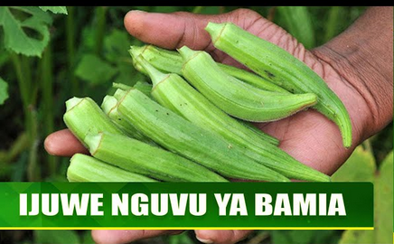 Faida za maji ya bamia kwa mwanaume