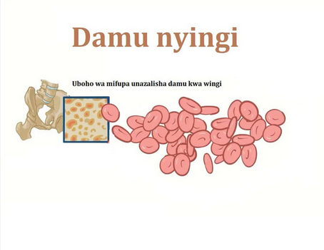 Kiwango cha damu mwilini kwa mjamzito