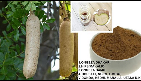 Matumizi YA MVUNGE KUKUZA UUME Matumizi YA MVUNGE KUKUZA UUME