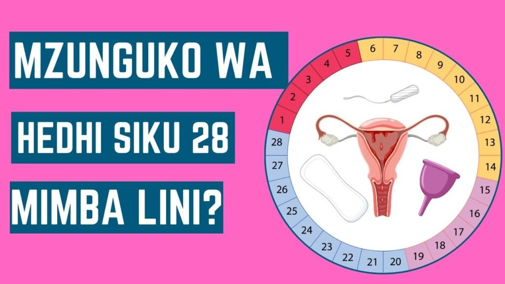 Jinsi ya kuhesabu Mzunguko wa hedhi siku 28