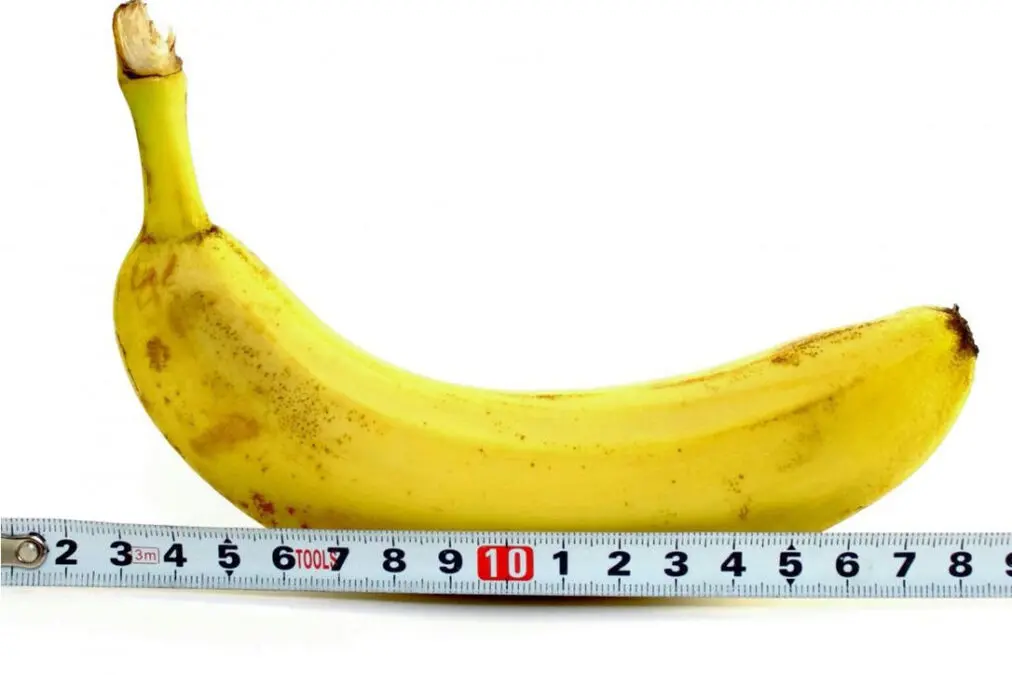 uume una urefu gani?: Size Gani ya uume ni sahihi kwa Mwanamke?