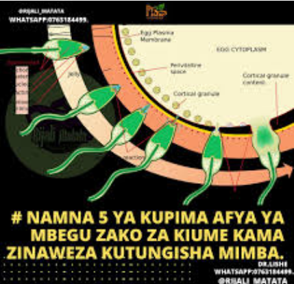 Jinsi ya kupima nguvu za kiume Jinsi ya kupima nguvu za kiume