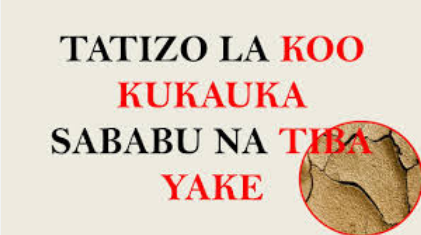 TATIZO LA KOO KUKAUKA (SABABU DALILI NA TIBA YAKE)