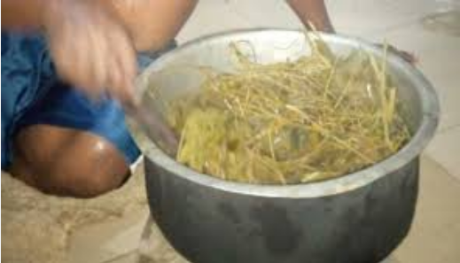Zifahamu dawa asili na Majani sahihi ya kupiga nyungu