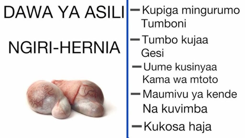 Dawa ya Asili ya ngiri kwa wanaume
