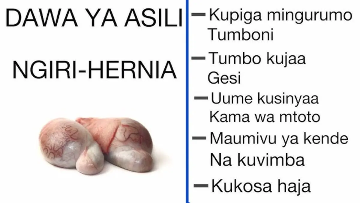 Dawa ya Asili ya ngiri kwa wanaume