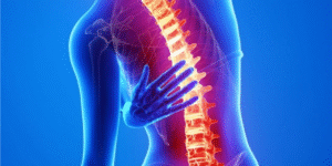 Picha ya Uti wa Mgongo – Muundo na Kazi Yake Katika Mwili wa Binadamu