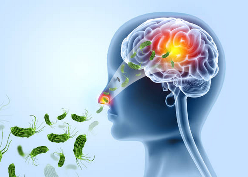 Dalili za Ugonjwa wa Klamidia, Sababu na Tiba