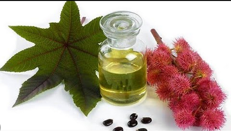 Maajabu ya Mmea wa Mnyonyo: Mbegu Zake Pamoja na Mizizi Yake Kiafya