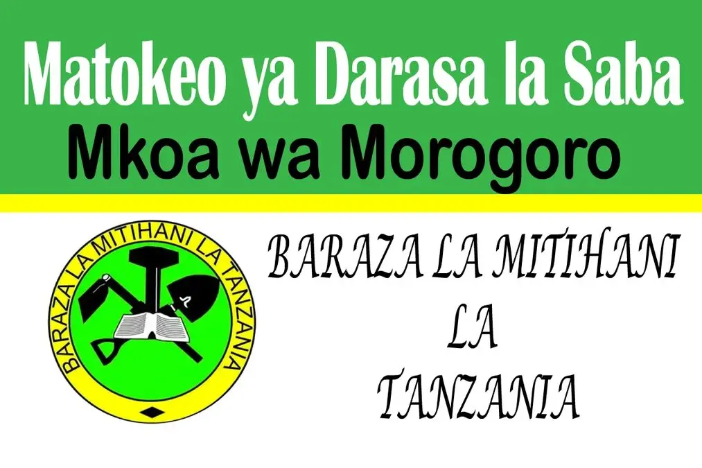 Matokeo ya Darasa la Saba 2025 Mkoa wa Morogoro NECTA PSLE Results