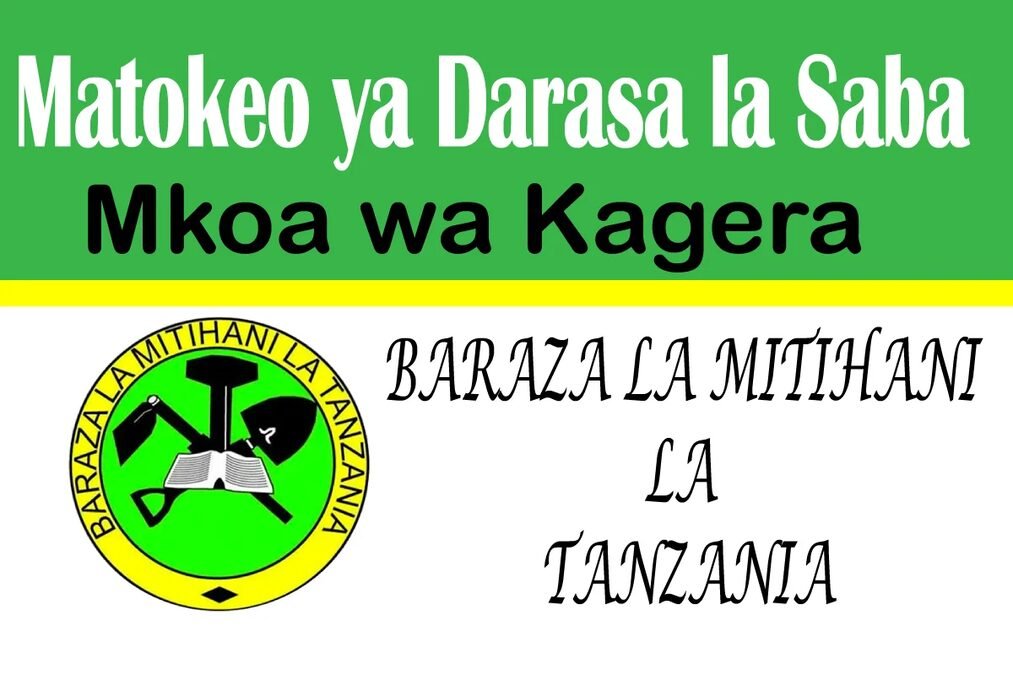 Matokeo ya Darasa la Saba 2025 Mkoa wa Kagera NECTA PSLE Results Matokeo ya Darasa la Saba 2025 Mkoa wa Kagera NECTA PSLE Results