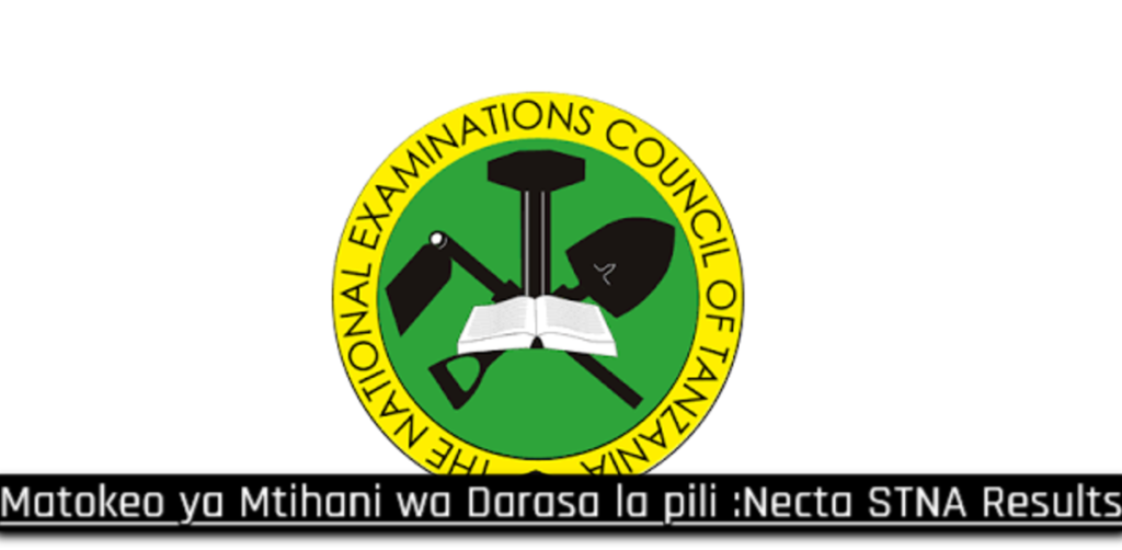 Matokeo ya Darasa la Pili 2025 /2026 NECTA STNA Results Matokeo ya Darasa la Pili 2025 Tanzania NECTA STNA Results