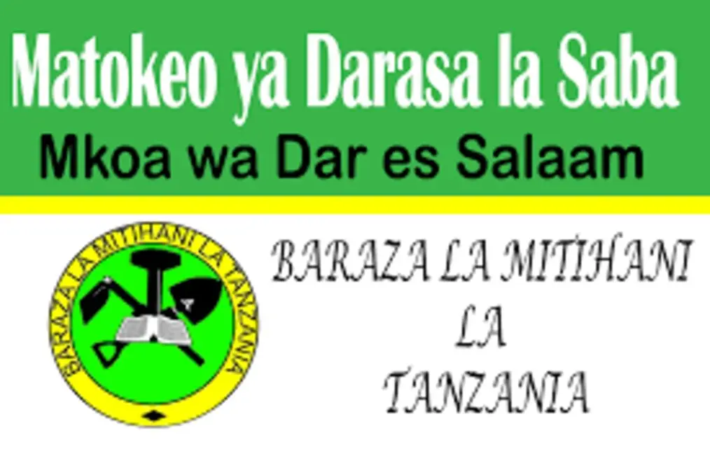 Matokeo ya Darasa la Saba 2025 Dar es salaam NECTA PSLE Results
