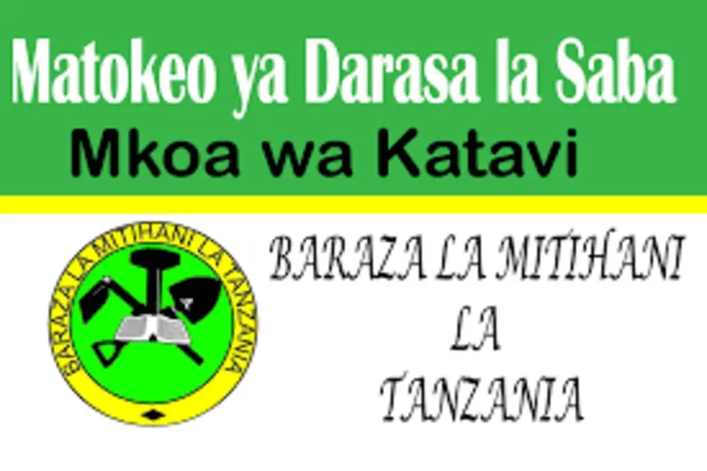 Matokeo ya Darasa la Saba 2025 Mkoa wa Katavi NECTA PSLE Results