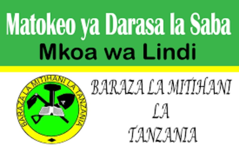 Matokeo ya Darasa la Saba 2025 Mkoa wa Lindi NECTA PSLE Results Matokeo ya Darasa la Saba 2025 Mkoa wa Lindi NECTA PSLE Results