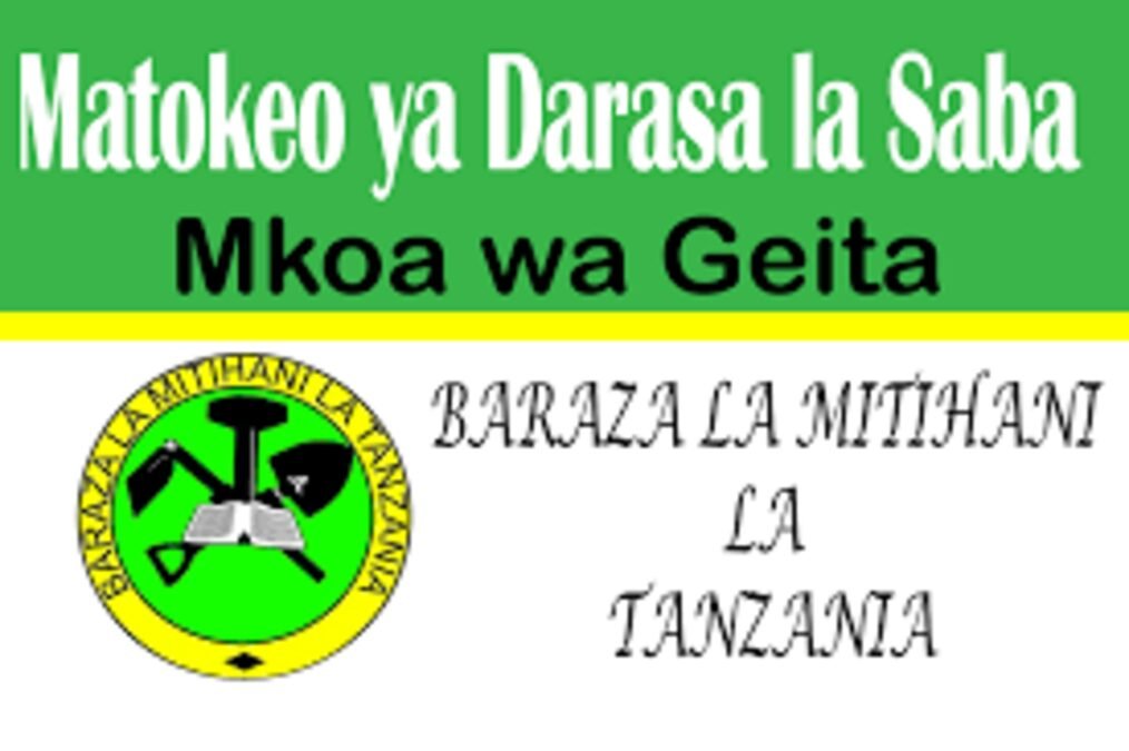 Matokeo ya Darasa la Saba 2025 Mkoa wa Geita NECTA PSLE Results Matokeo ya Darasa la Saba 2025 Mkoa wa Geita NECTA PSLE Results