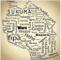 Orodha ya makabila yote 125 ya Tanzania Pamoja na Mikoa yanapotokea