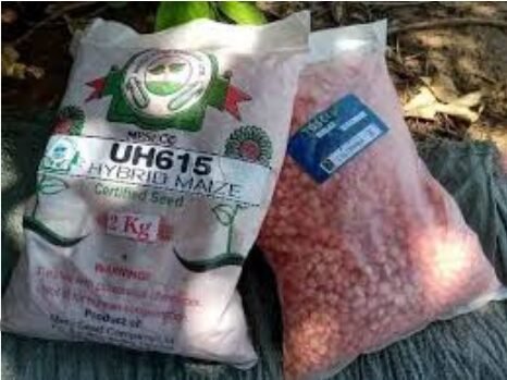 Bei ya Mbegu za Mahindi Tanzania