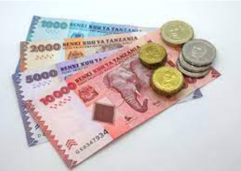 Malipo ya uhamisho kwa watumishi wa umma