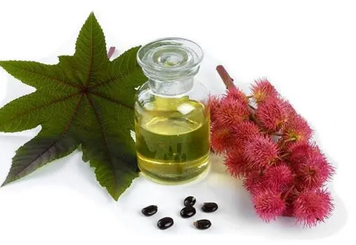 Jinsi ya Kutengeneza Mafuta ya Mnyonyo (Castor Oil) Nyumbani