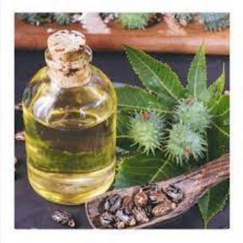 Mafuta ya mnyonyo na nguvu za kiume