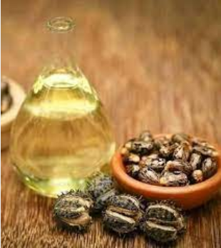 Je Mafuta ya Mnyonyo Yanatibu Bawasiri?