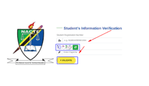 tvetims nacte go tz login-NACTVET Online Application Portal