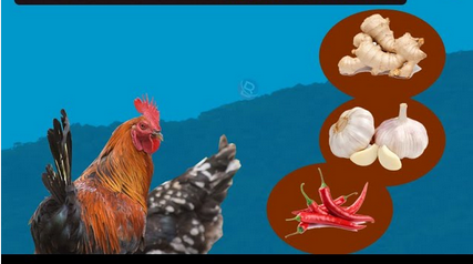 Dawa ya mafua na Kikohozi cha kuku