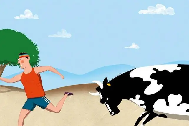 Tafsiri ya Ndoto Kuota Unakimbizwa na Ng'ombe