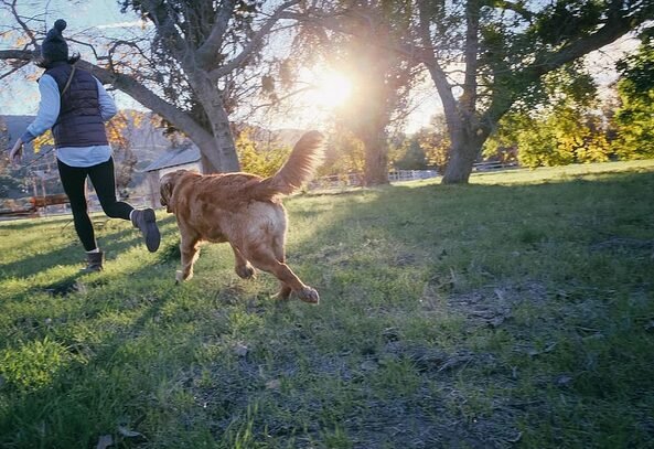 Tafsiri na Maana ya Ndoto Kuota Unakimbizwa na Mbwa