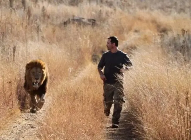 Tafsiri na Maana ya Ndoto Kuota Unakimbizwa na Simba