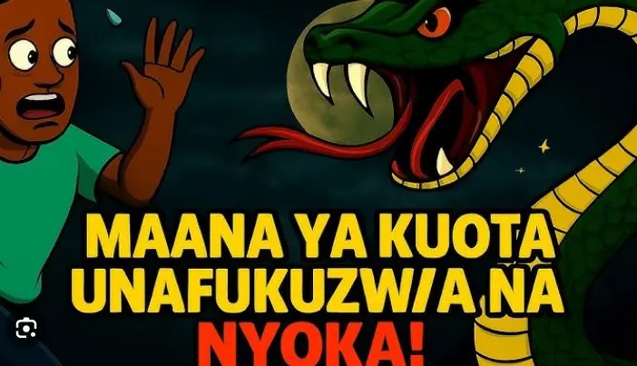 Tafsiri na Maana ya Ndoto Kuota Unakimbizwa na Nyoka